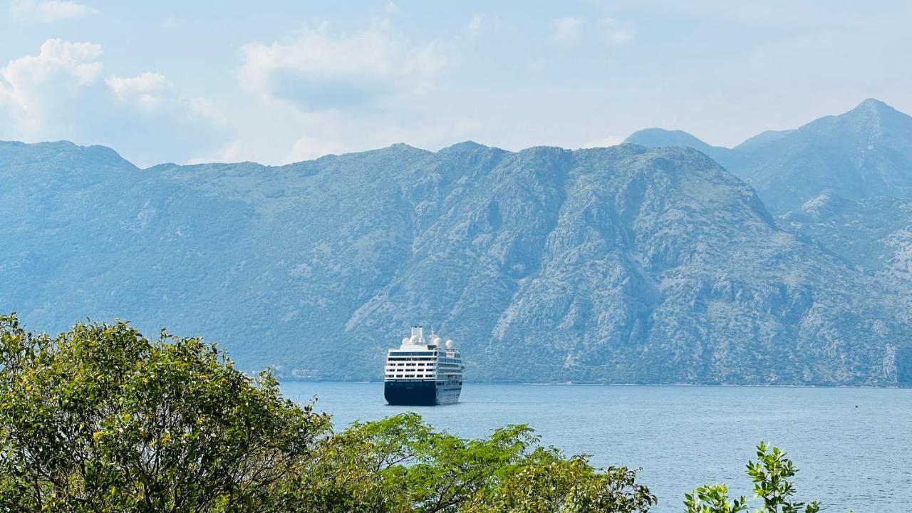 Apartament Melodia Del Mare Kotor Zewnętrze zdjęcie
