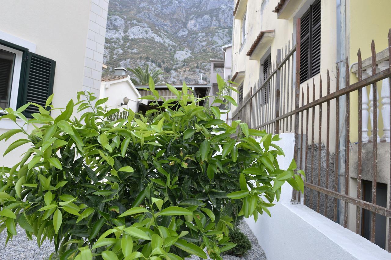 Apartament Melodia Del Mare Kotor Zewnętrze zdjęcie